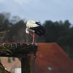 Apartment Storchennest Bad Rothenfelde