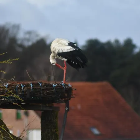 Apartmán Storchennest Bad Rothenfelde