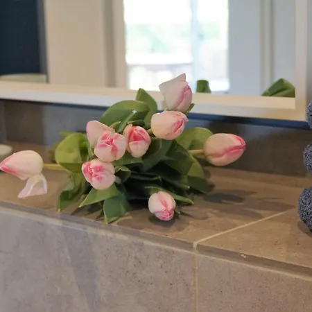 Apartmán Storchennest Bad Rothenfelde