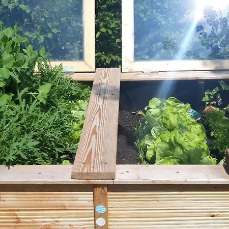 Storchennest Bad Rothenfelde