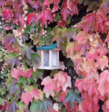 Apartmán Storchennest